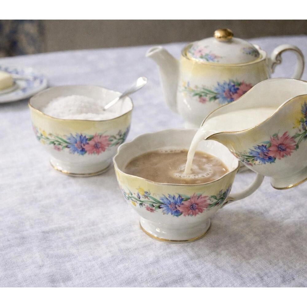 Foley England 1950s Cornflower Bone China Creamer & Sugar Set